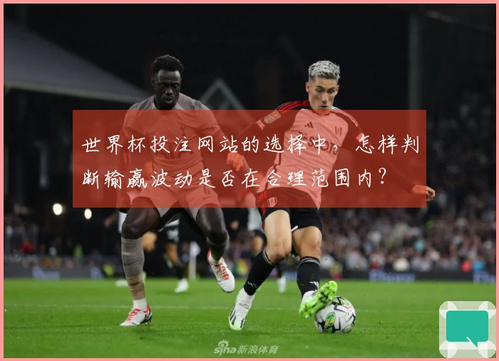 世界杯投注网站的选择中，怎样判断输赢波动是否在合理范围内？