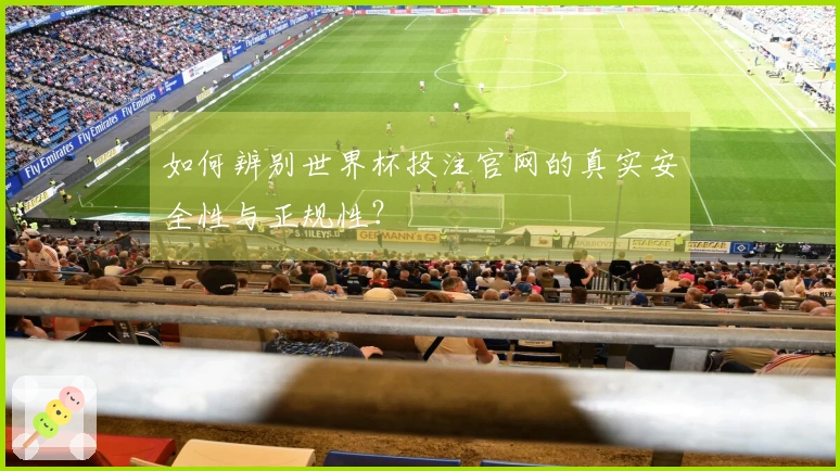 如何辨别世界杯投注官网的真实安全性与正规性？